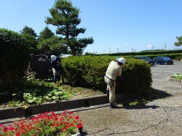 作業の様子