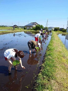 田植え1