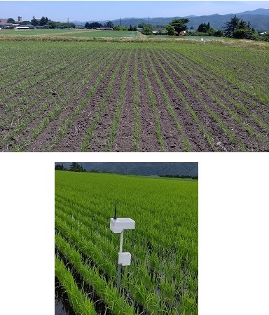 プロジェクト67