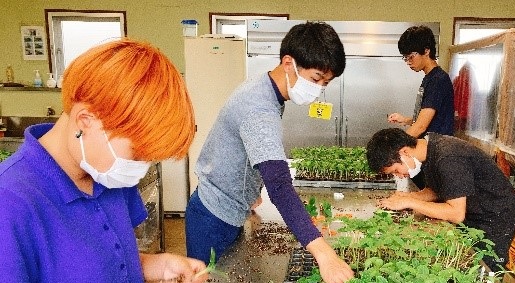 写真２