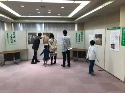 展示の様子