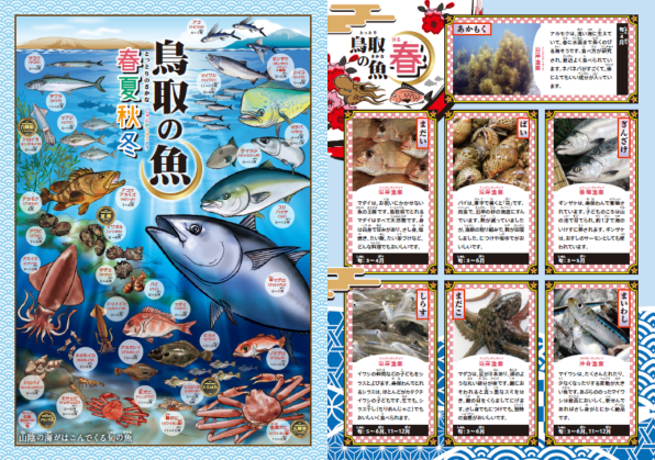 鳥取の魚パンフレットイメージ画像