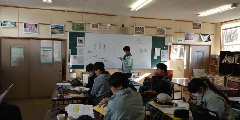 梅せん定説明