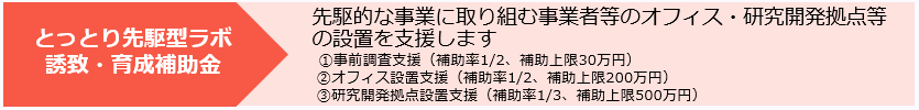 とっとり先駆型ラボ