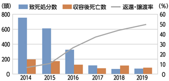 猫の致死処分数と収容後死亡数、返還・譲渡率の推移のグラフ