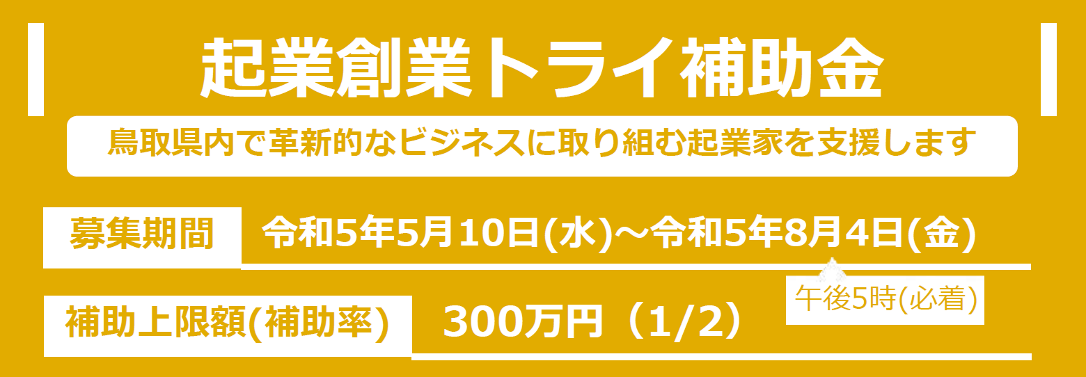 起業創業トライ補助金
