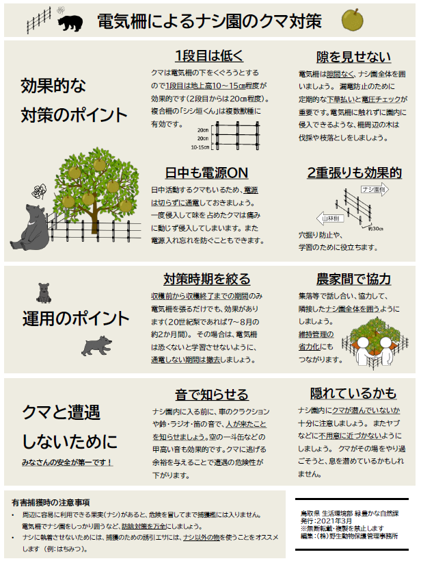 チラシ「電気柵によるナシ園のクマ対策」