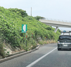 非常駐車帯の写真