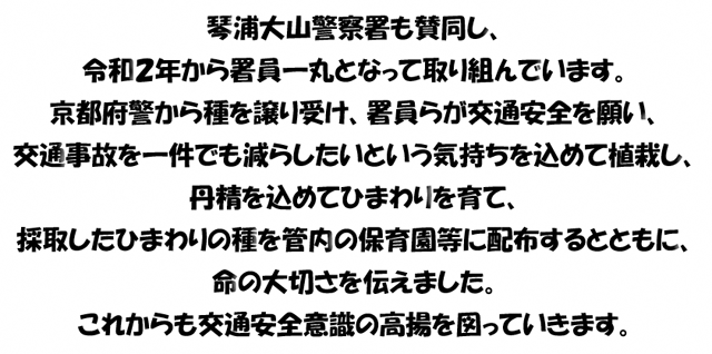 ひまわりの絆プロジェクト