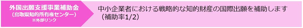 外国出願支援事業補助金