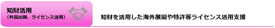 知財活用（外国出願・ライセンス活用）