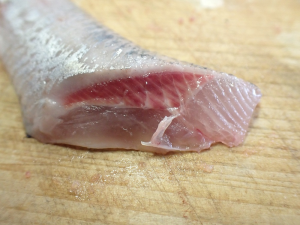 脂3