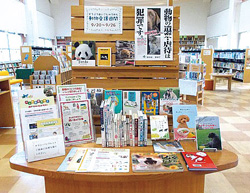 図書館での企画展示の写真