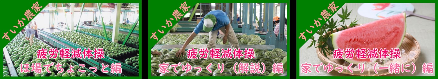 スイカ体操(ストレッチ)