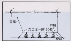 かにかご操業図