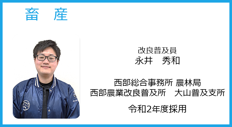 若手職員