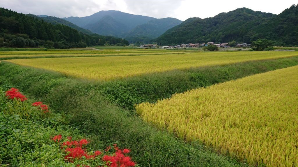 鳥取県の田園風景