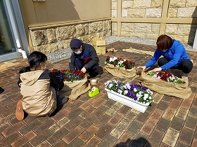 花壇苗装飾