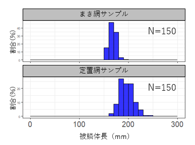 体長組成