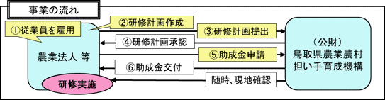 事業の流れ