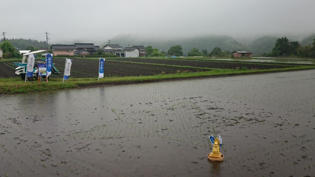 星形に植えられた星空舞