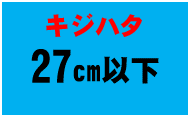 キジハタ27センチ以下