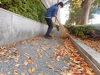 県立図書館横小道