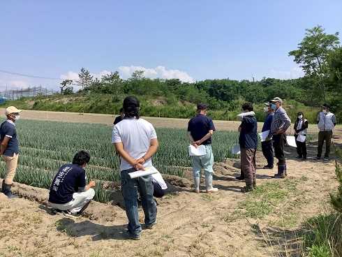 ほ場を見ながら意見交換を行う白ねぎ生産部員の写真