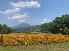 花の丘２