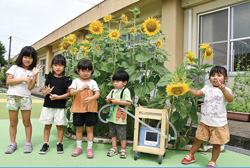 鳥取聾学校幼稚部の子どもたちとヒマワリの写真