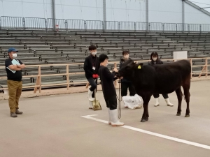 首席の場所