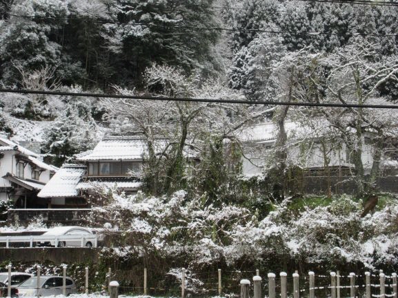 根雨の町