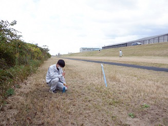 杭の上にミラーを設置している状況