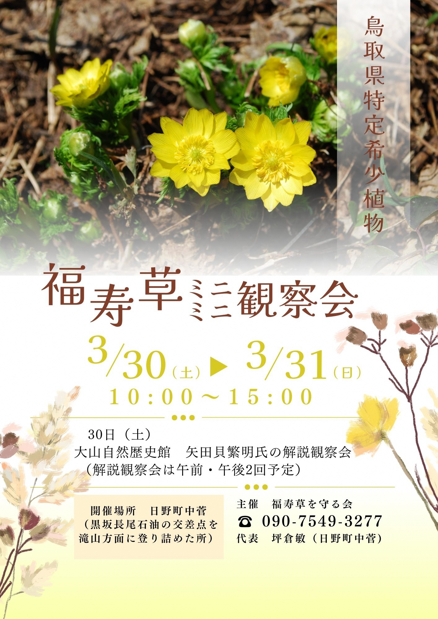 令和6年福寿草ミニミニ観察会