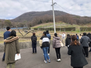 現地視察