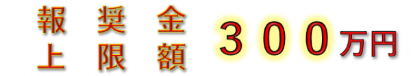 報奨金上限額300万円
