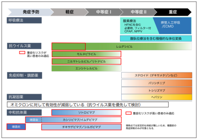 治療薬の概要