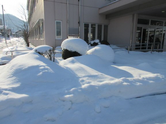 しいたんが隠れたような雪