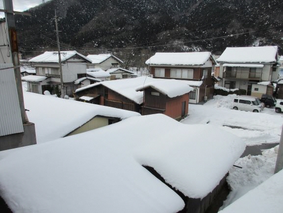 日野町野田の雪化粧