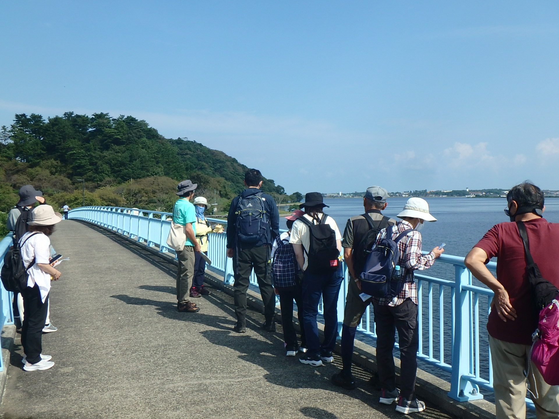 湖山池青島の様子1