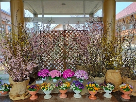 玄関飾花2
