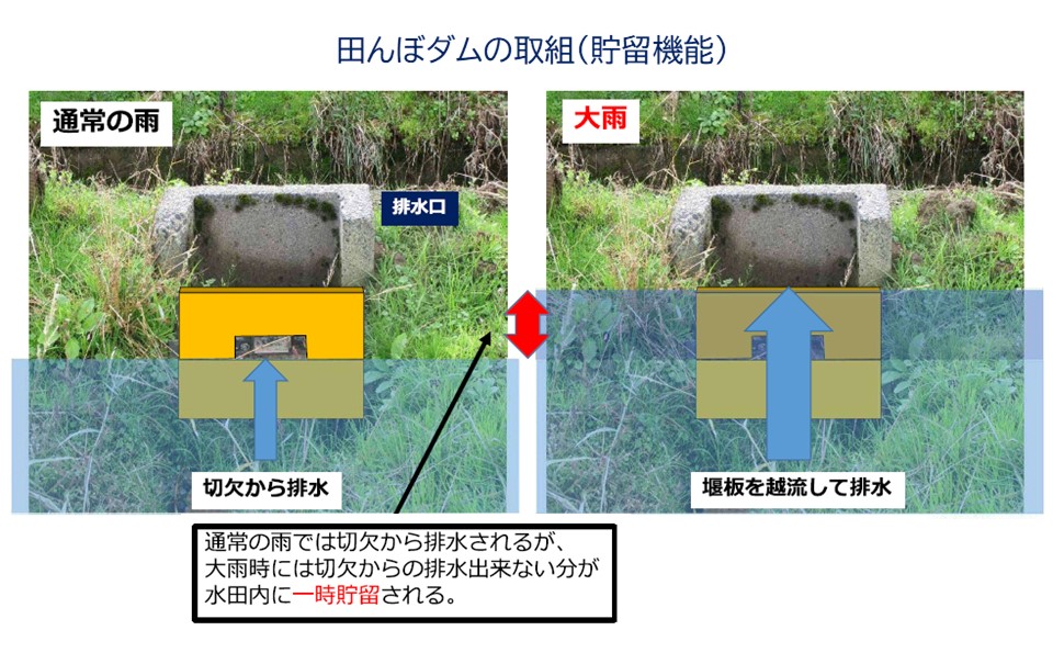 田んぼダムの取り組み