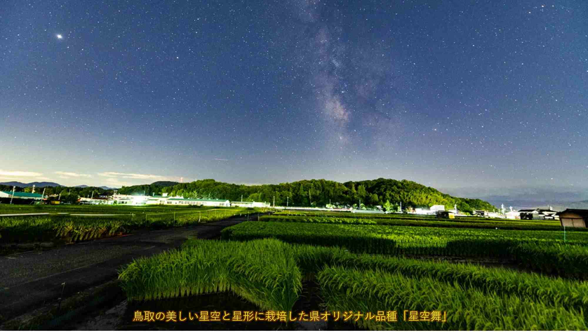 hoshizoramai