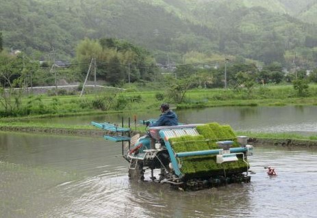 水田に沈む田植え機