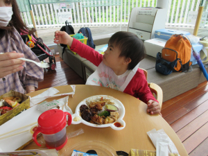 お弁当を食べている