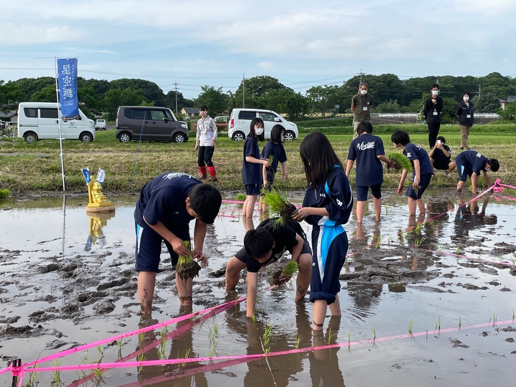 田植え