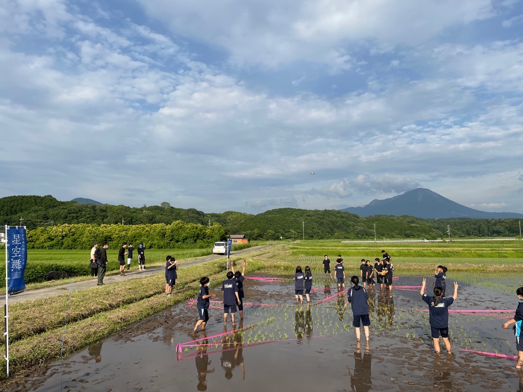 田植え