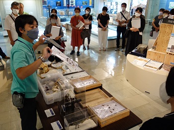 自然展示室の様子