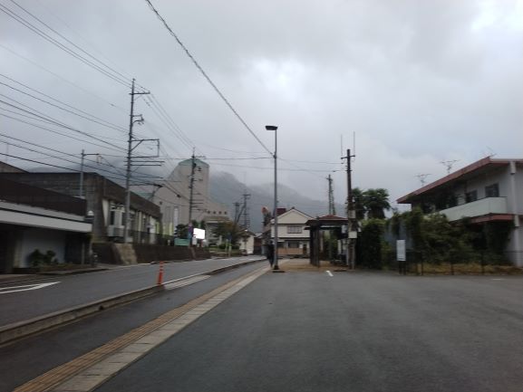 雨の日の根雨