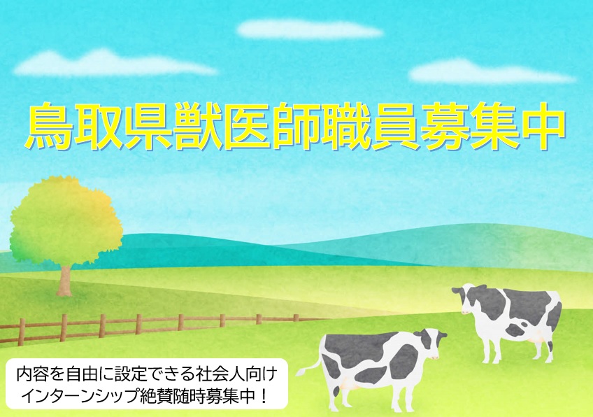 鳥取県獣医師募集中